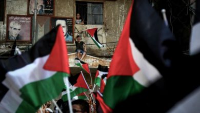 3القضية الفلسطينية